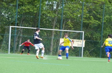 hp_P1020474.jpg