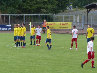 P1100174.jpg