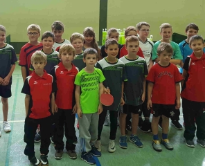 Die meisterhaften Minis