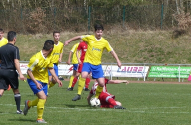 P1060855.jpg