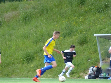 hp_P1020416.jpg