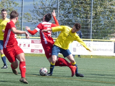P1100023.jpg