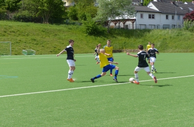 hp_P1020387.jpg
