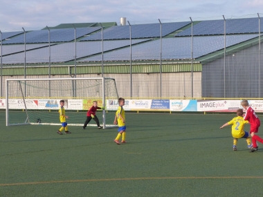 P1030482.jpg