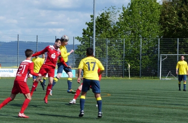 P1100046.jpg