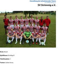 svstrimmig.jpg