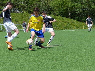 hp_P1020410.jpg