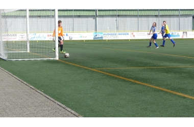 hp_P1040117.jpg