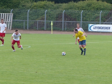 P1100167.jpg