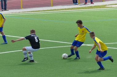 hp_P1020425.jpg