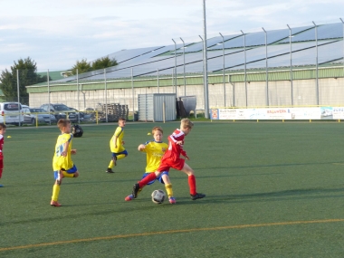 P1030479.jpg