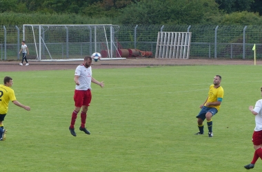 P1100163.jpg