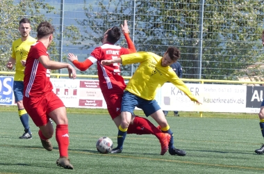 P1100023.jpg