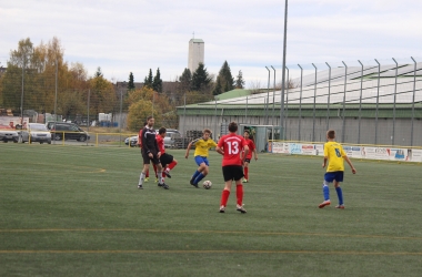 hp_IMG_4537.jpg