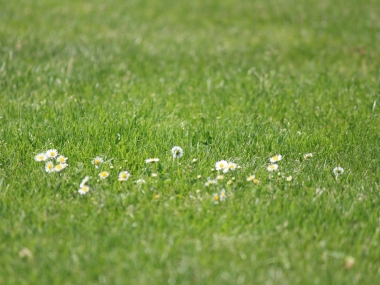 hp_IMG_3053.jpg