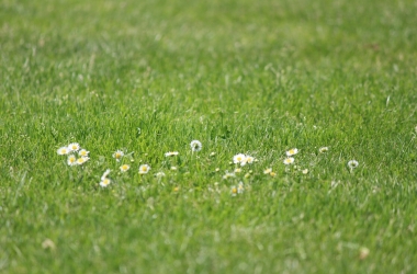 hp_IMG_3053.jpg