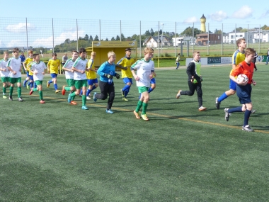 hp_P1030647.jpg