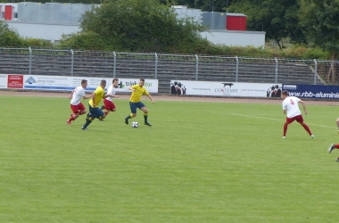 P1100134.jpg