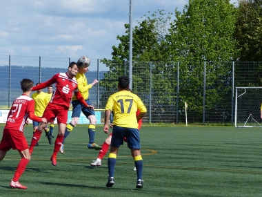 P1100046.jpg
