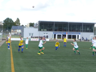 hp_P1030665.jpg