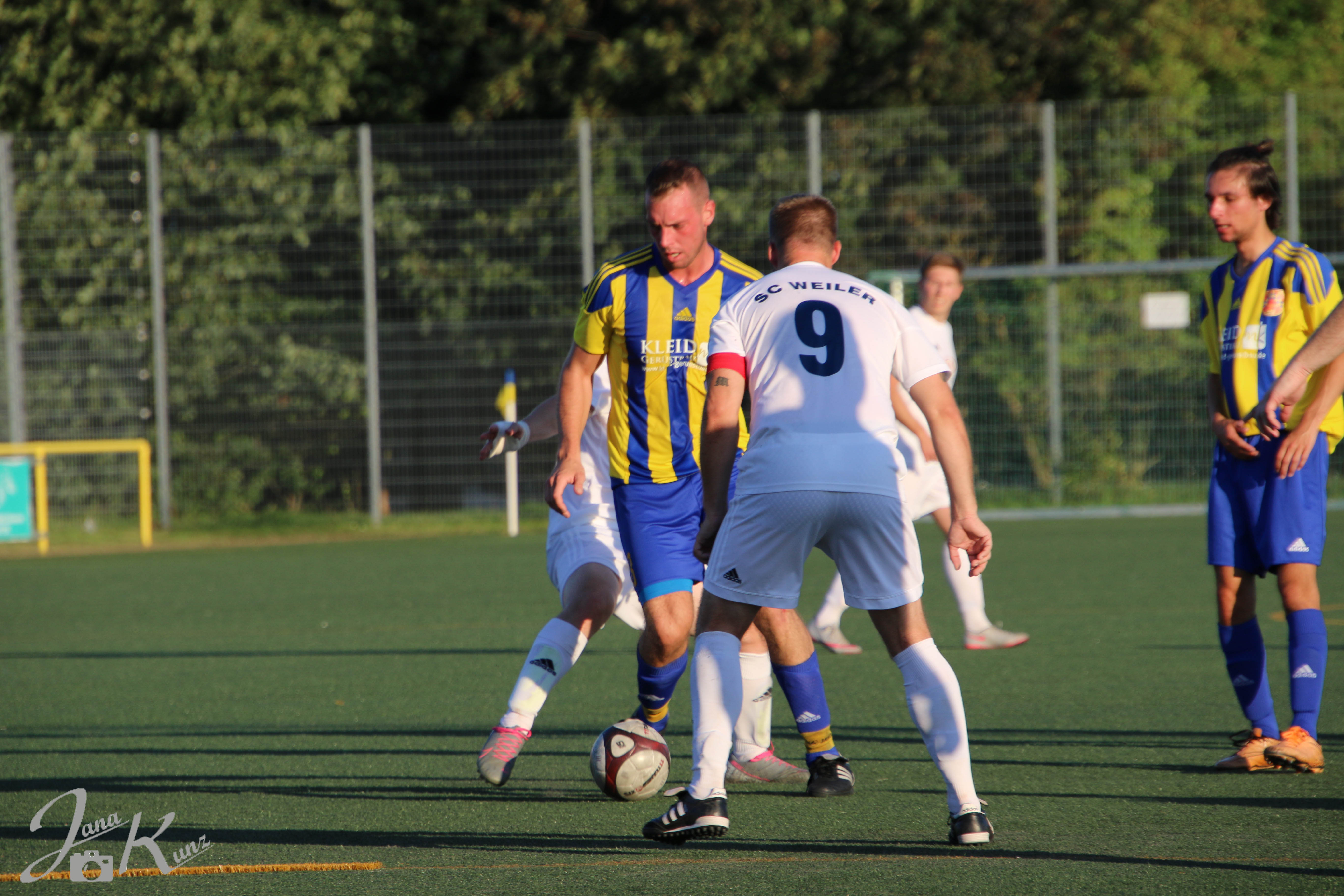 WZ - IMG_8019.jpg