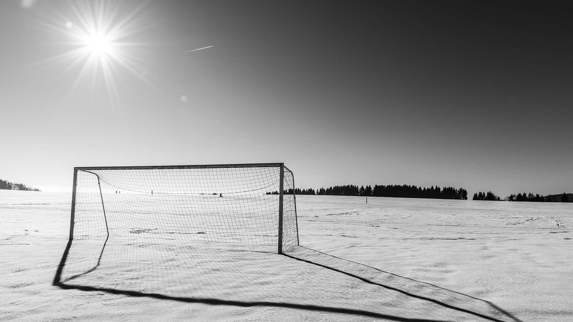 header_img
